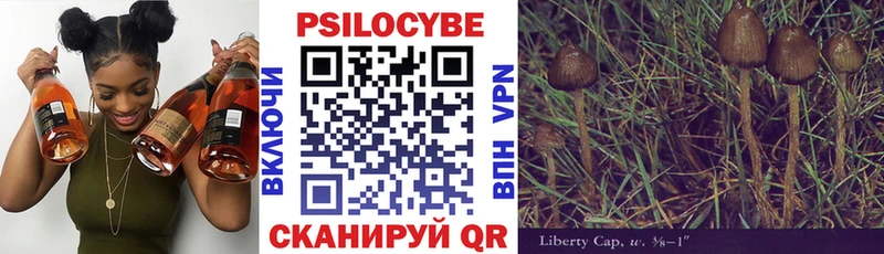 закладки  Сосновка  Галлюциногенные грибы мухоморы 